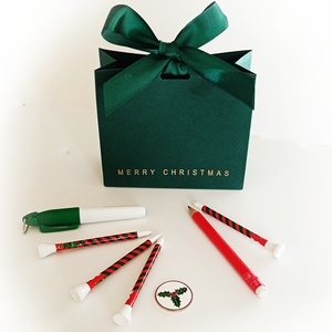 Christmas Table Gift Bag (green) - Pack of 5