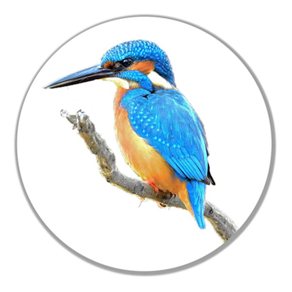Kingfisher Birdie Ball Marker and Pencil in Presentation Sleeve - golfprizes